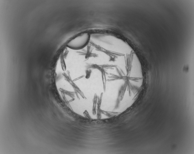 X0000112821208200909181617