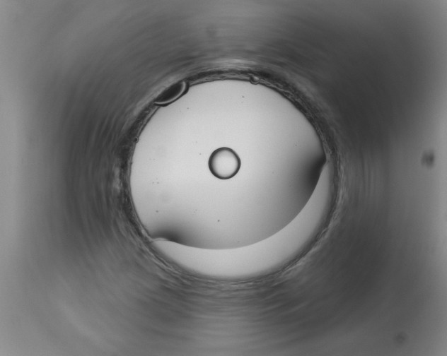 X0000112821209200909181617