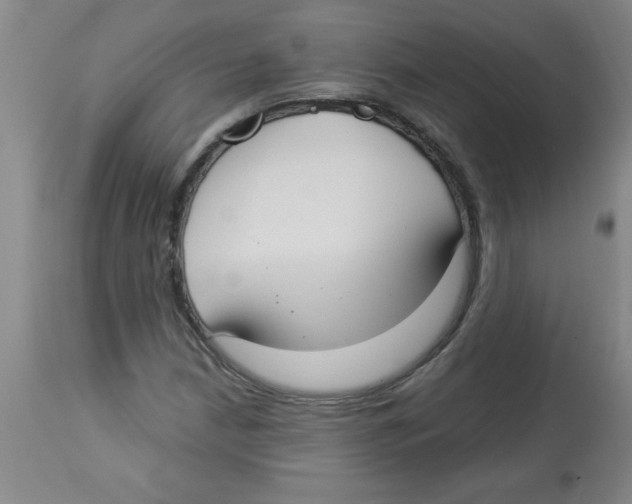 X0000112821210200909181617