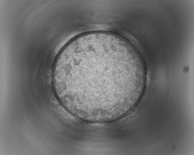 X0000112821212200909181617