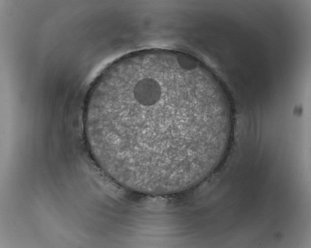 X0000112821214200909181617