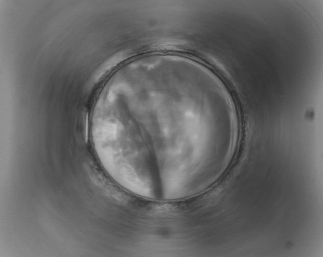 X0000112821219200909181617