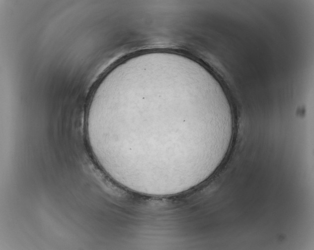 X0000112821220200909181617