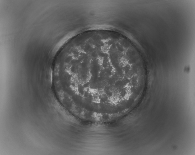 X0000112821221200909181617