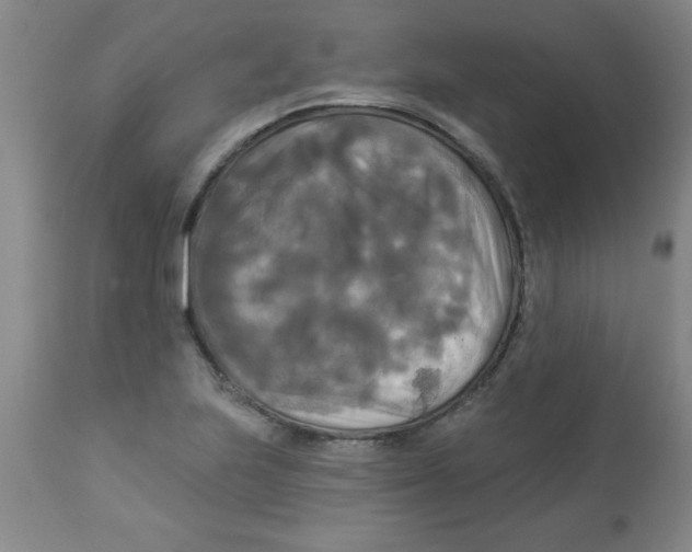 X0000112821223200909181617