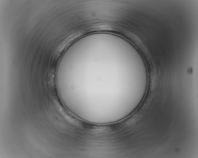 X0000112821225200909181617