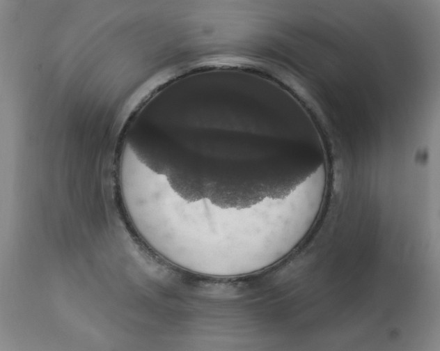 X0000112821229200909181617