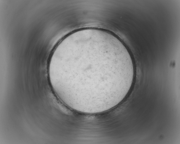 X0000112821230200909181617