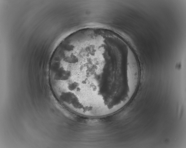 X0000112821231200909181617