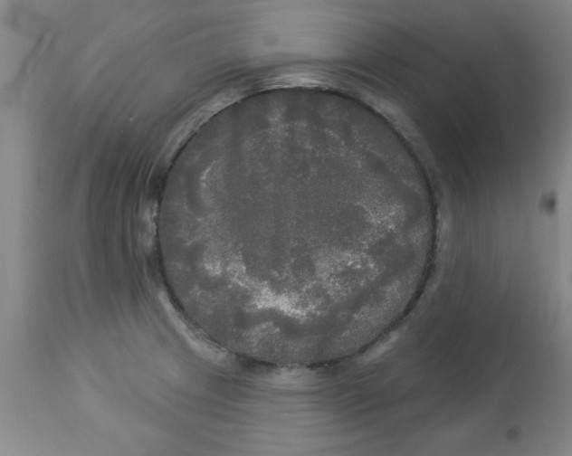 X0000112821233200909181617