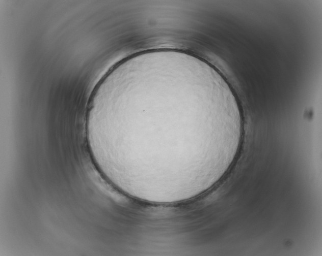 X0000112821236200909181617