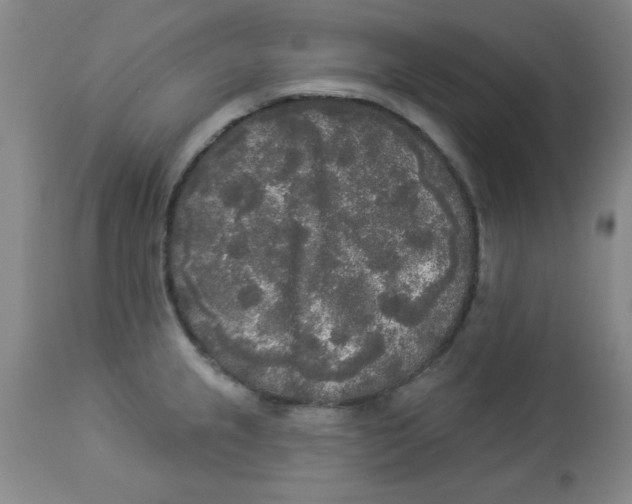 X0000112821237200909181617