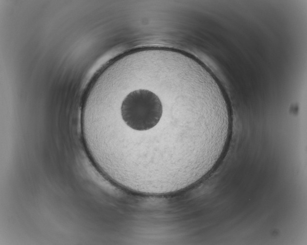 X0000112821238200909181617