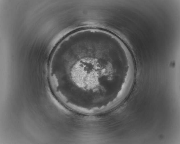 X0000112821239200909181617