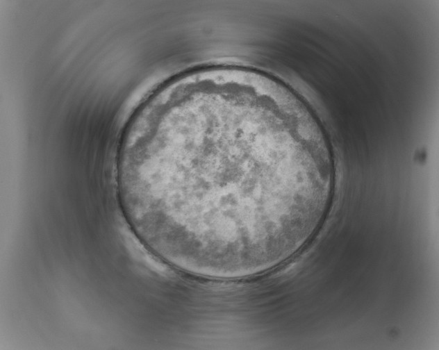 X0000112821240200909181617