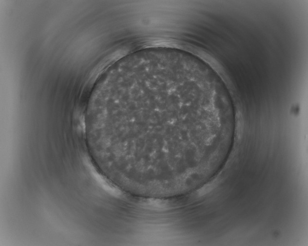 X0000112821241200909181617