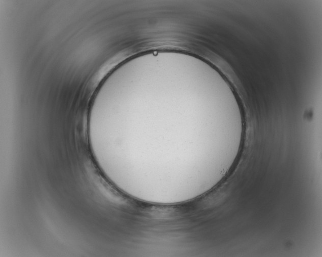 X0000112821242200909181617