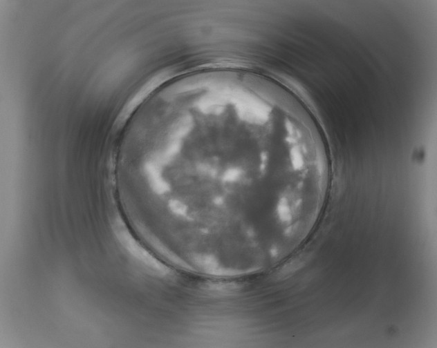 X0000112821243200909181617