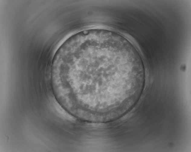 X0000112821244200909181617