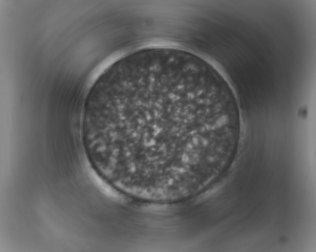 X0000112821245200909181617