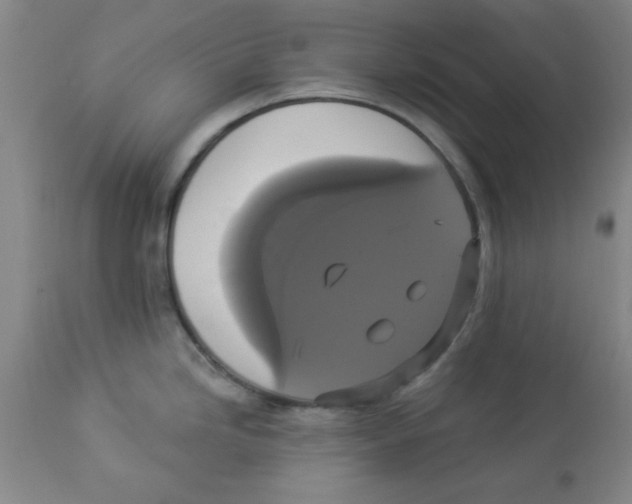 X0000112821246200909181617