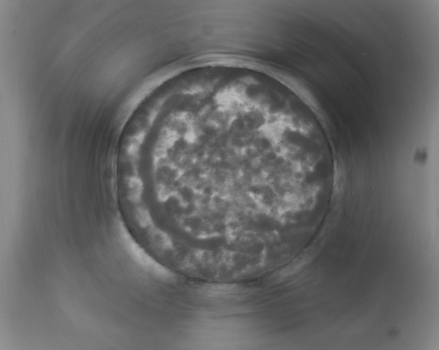 X0000112821247200909181617