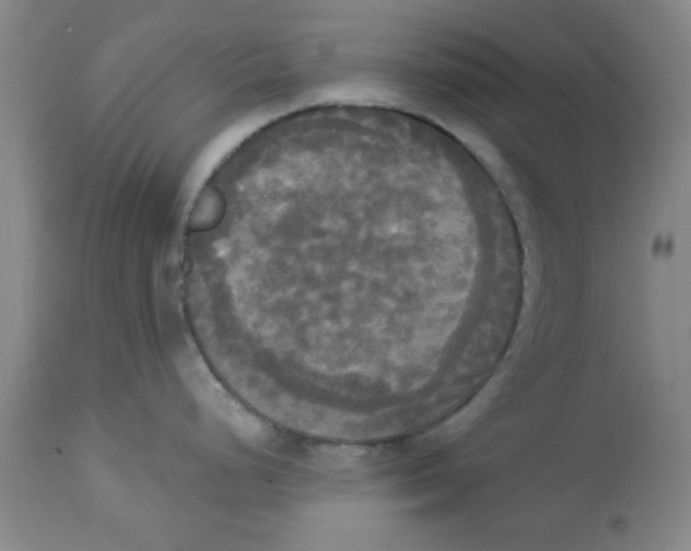 X0000112821248200909181617