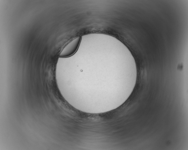 X0000112821250200909181617