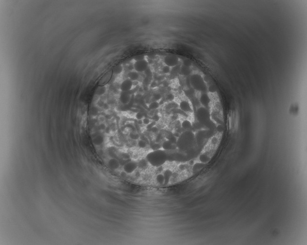 X0000112821251200909181617