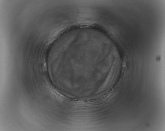 X0000112821252200909181617