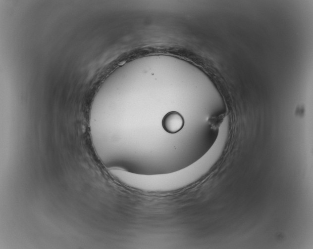 X0000112821253200909181617