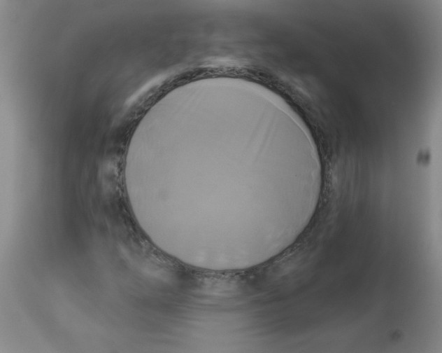 X0000112821254200909181617