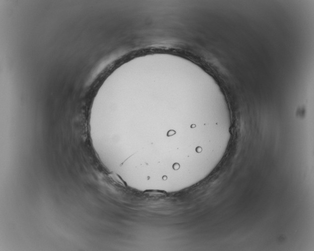 X0000112821256200909181617