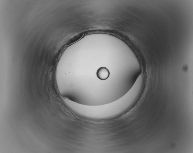 X0000112821257200909181617