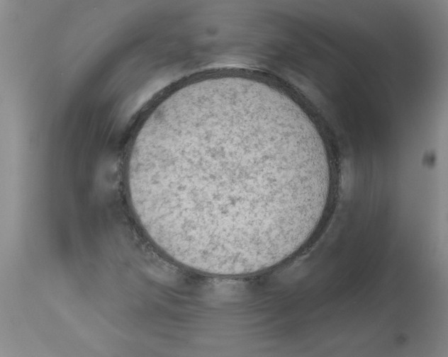 X0000112821258200909181617