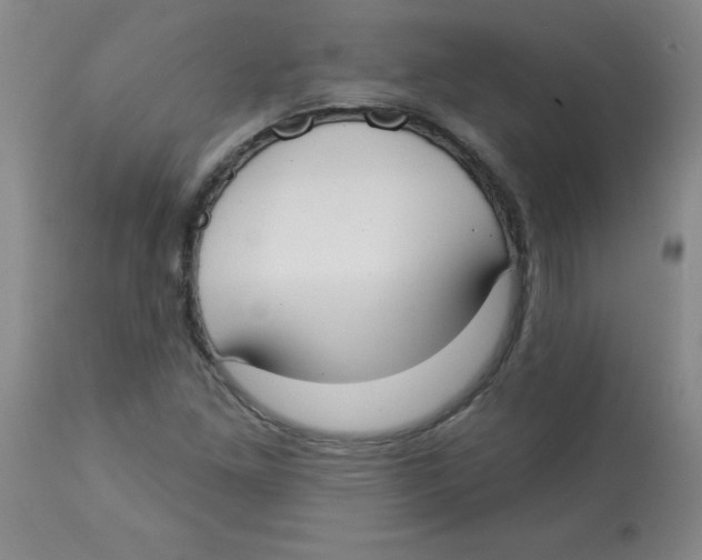 X0000112821261200909181617