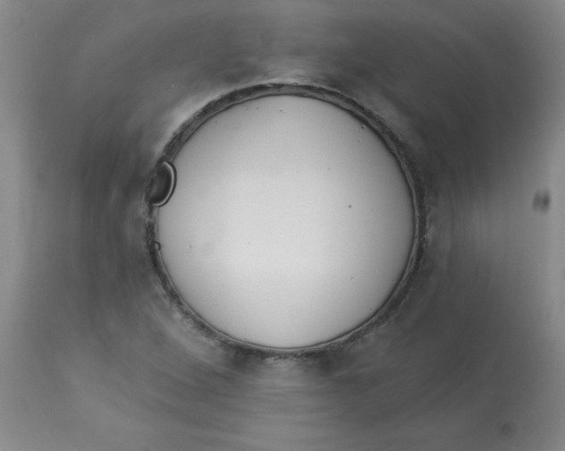 X0000112821264200909181616