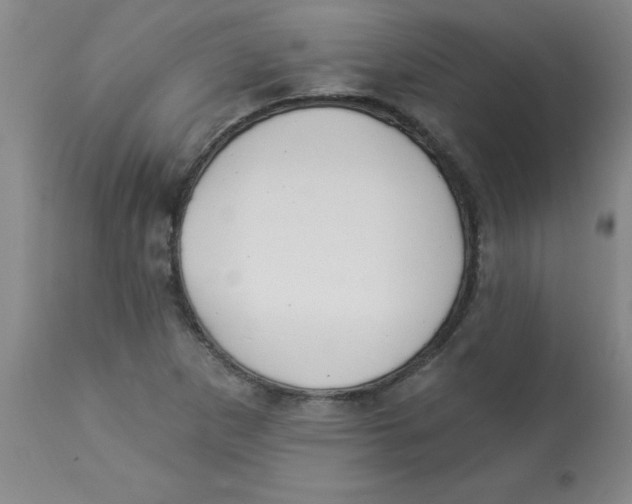 X0000112821265200909181616