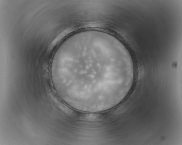 X0000112821266200909181616