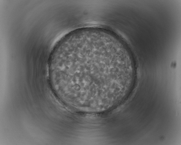 X0000112821267200909181616