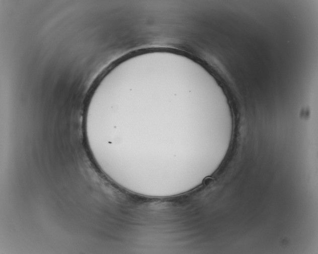 X0000112821268200909181616