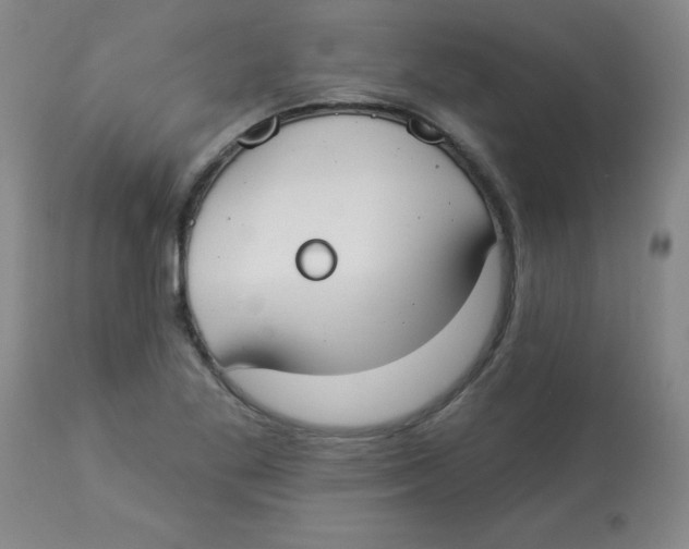 X0000112821269200909181616