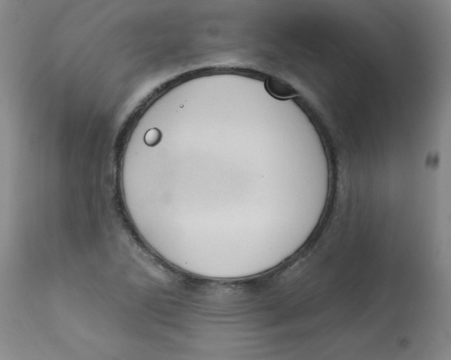 X0000112821270200909181616