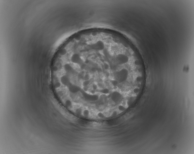 X0000112821271200909181616