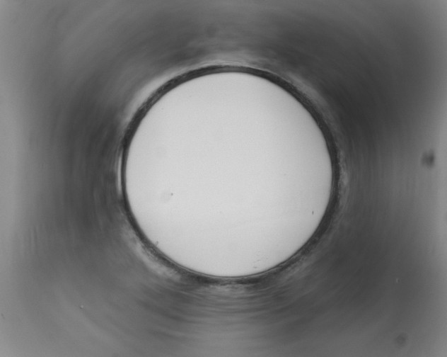 X0000112821272200909181616