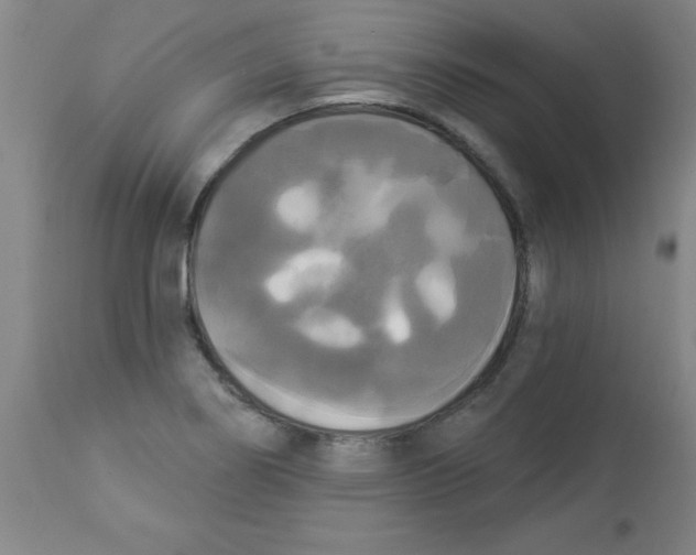 X0000112821274200909181616