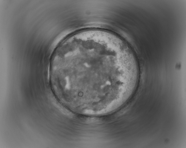 X0000112821275200909181616