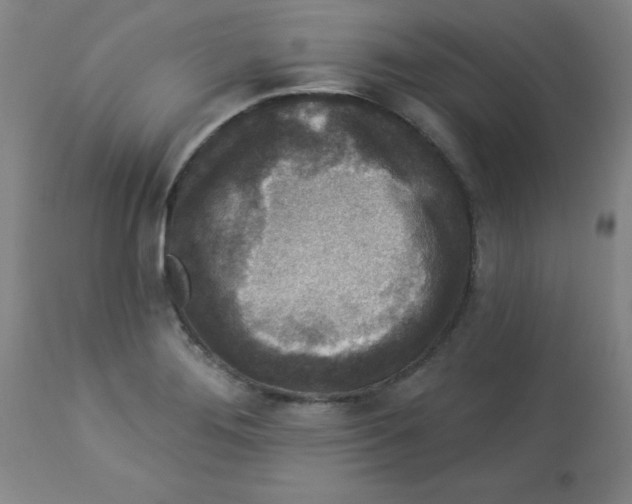 X0000112821276200909181616