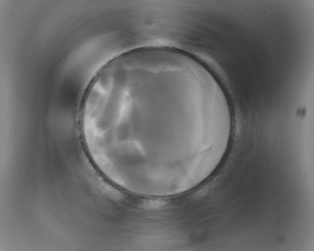 X0000112821278200909181616