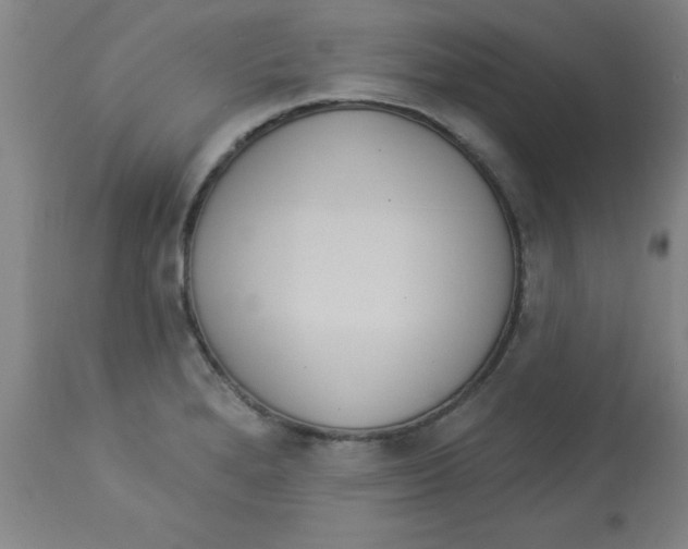 X0000112821280200909181616